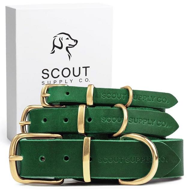 Classic Genuine Leather Dog Collar | Dog Collars for Medium Dogs, Small Dogs, Large Dogs & Extra Large Dog | Wide Dog Collar | Heavy Duty Collar (Green, Large)