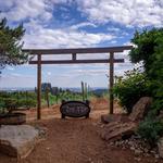 Torii Mor Winery