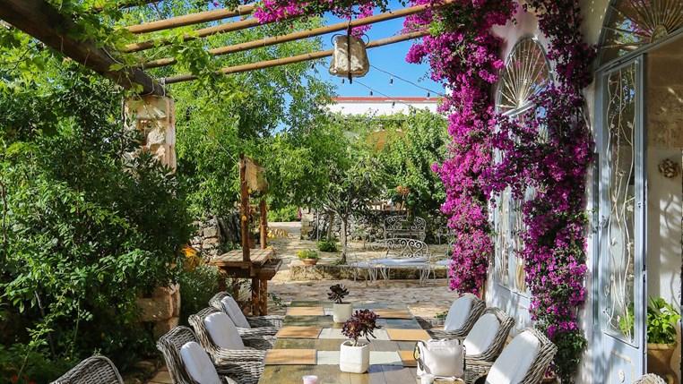 The Wedding Website of Viridiana Ruiz Leyva and Thomas Saorin