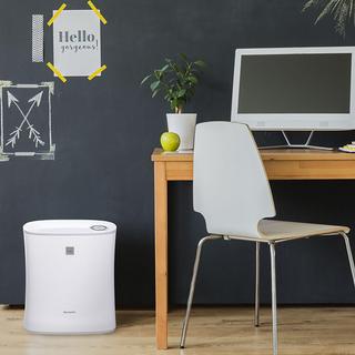 True HEPA Air Purifier