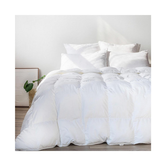 Bokser Home Extra Warm Down Alternative Duvet Comforter Insert - King/Cal King