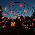 Holiday Festival of Lights