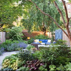 352 W 11th Backyard Fund!