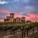 Wineries