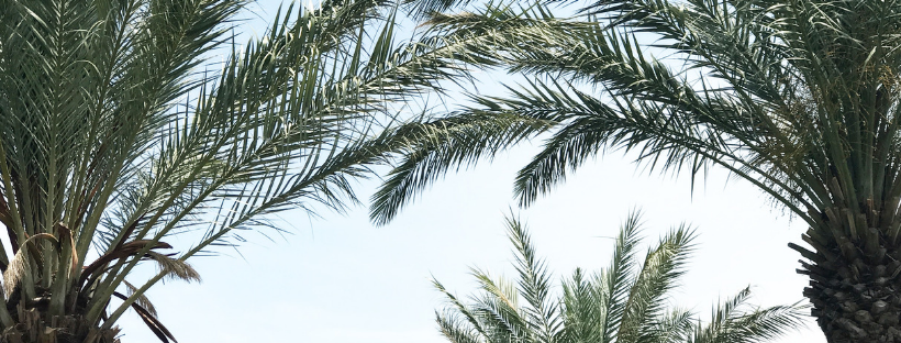 The Wedding Website of Ariela Solis Plata and Kyle Traber