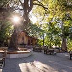 Benziger Family Winery