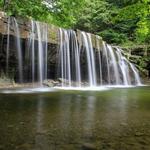 Great Gully Nature Preserve