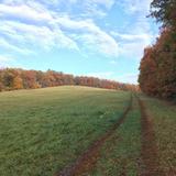 Osgood Hill Trails