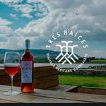 Viñedos Tres Raices