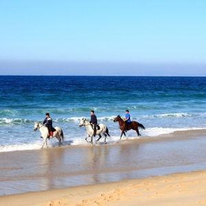 Horseback Riding in Greece