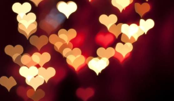 d8c91a16-144b-4939-884c-840dd68c0f5b