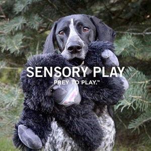 Dog Sensory Toys - Pick your favorites!