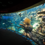 Aquarium of the Pacific