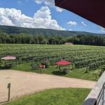 Muse Vineyards