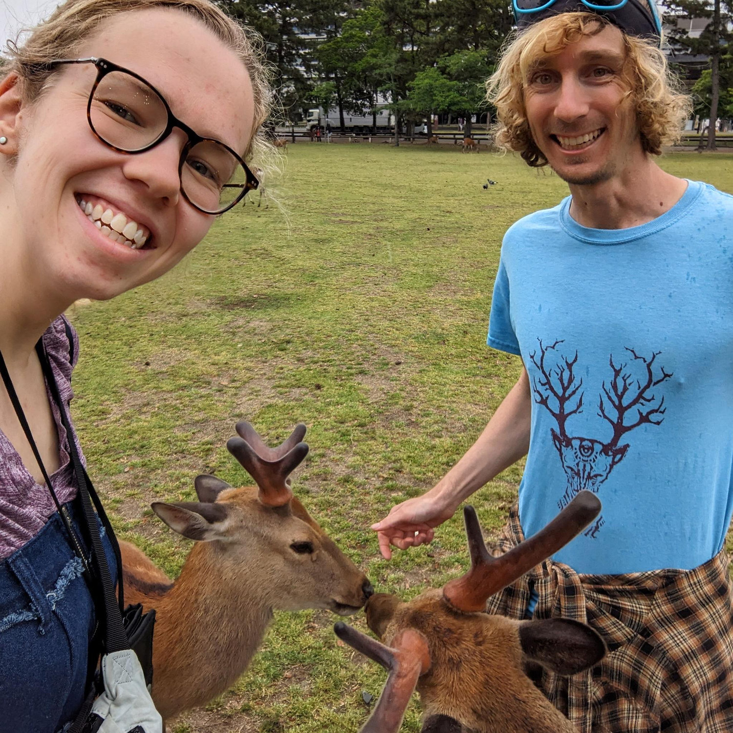Feeding the deer in Nara, Japan!