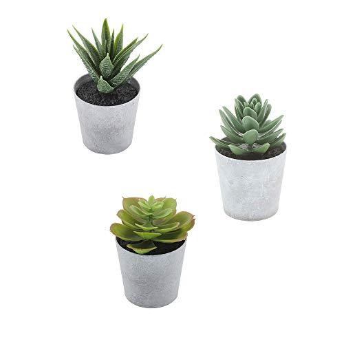 Artificial Succulents set of 3 Realistic Fake Plants with plastic Pots for Home and Office Decoration, Including Aloe, Echeveria laui and Haworthia coarctata f. greenii, 4~4.5in (H) x 2.5-2.75in (W)