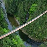 Capilano Suspension Bridge Park