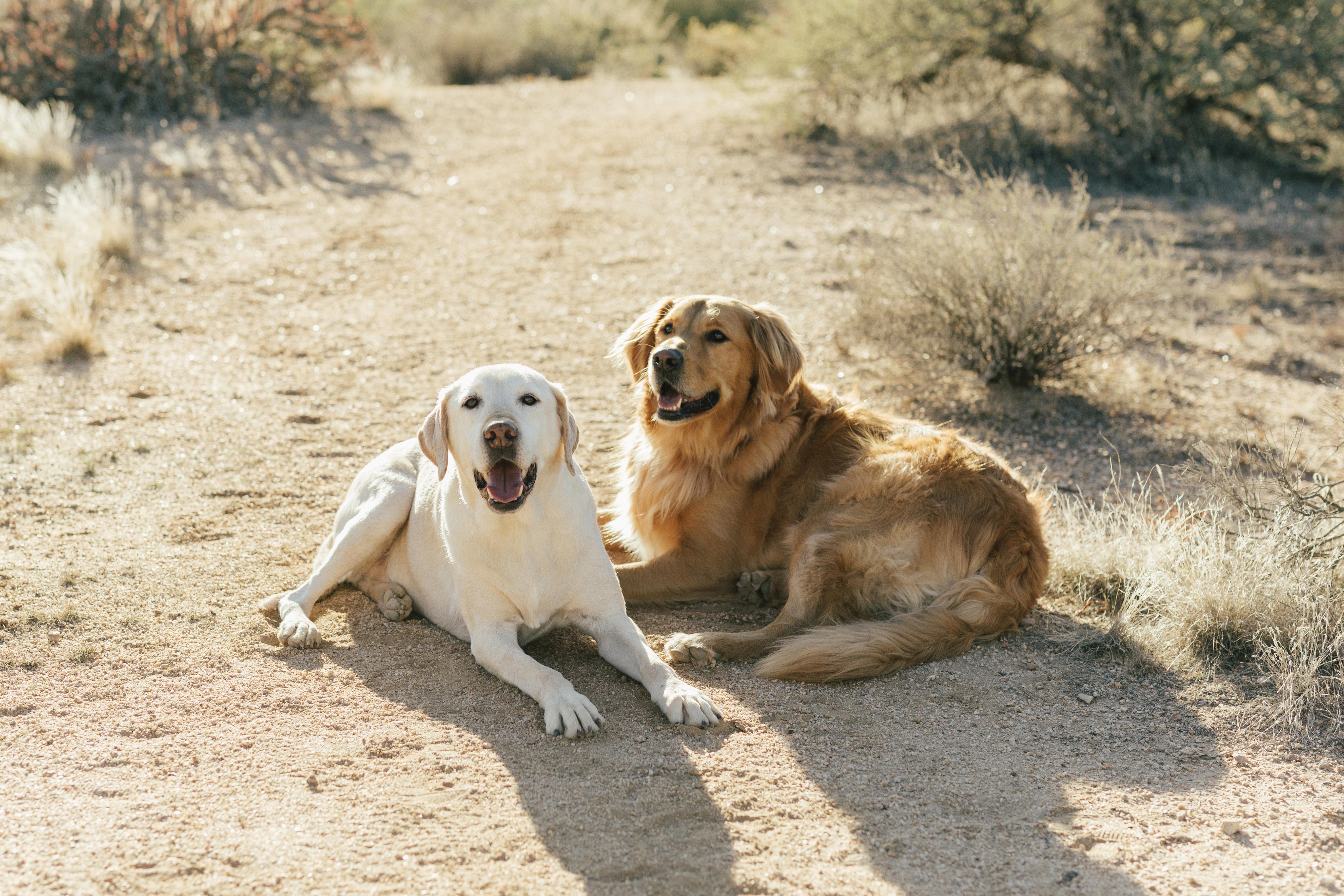 The Wedding Website of Jenny Huggins and Max Rubin