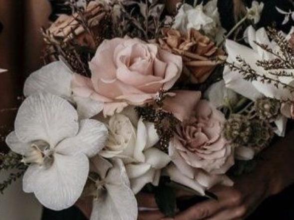 The Wedding Website of Tracy Hendren and William Richmond