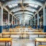 Rhinegeist Brewery