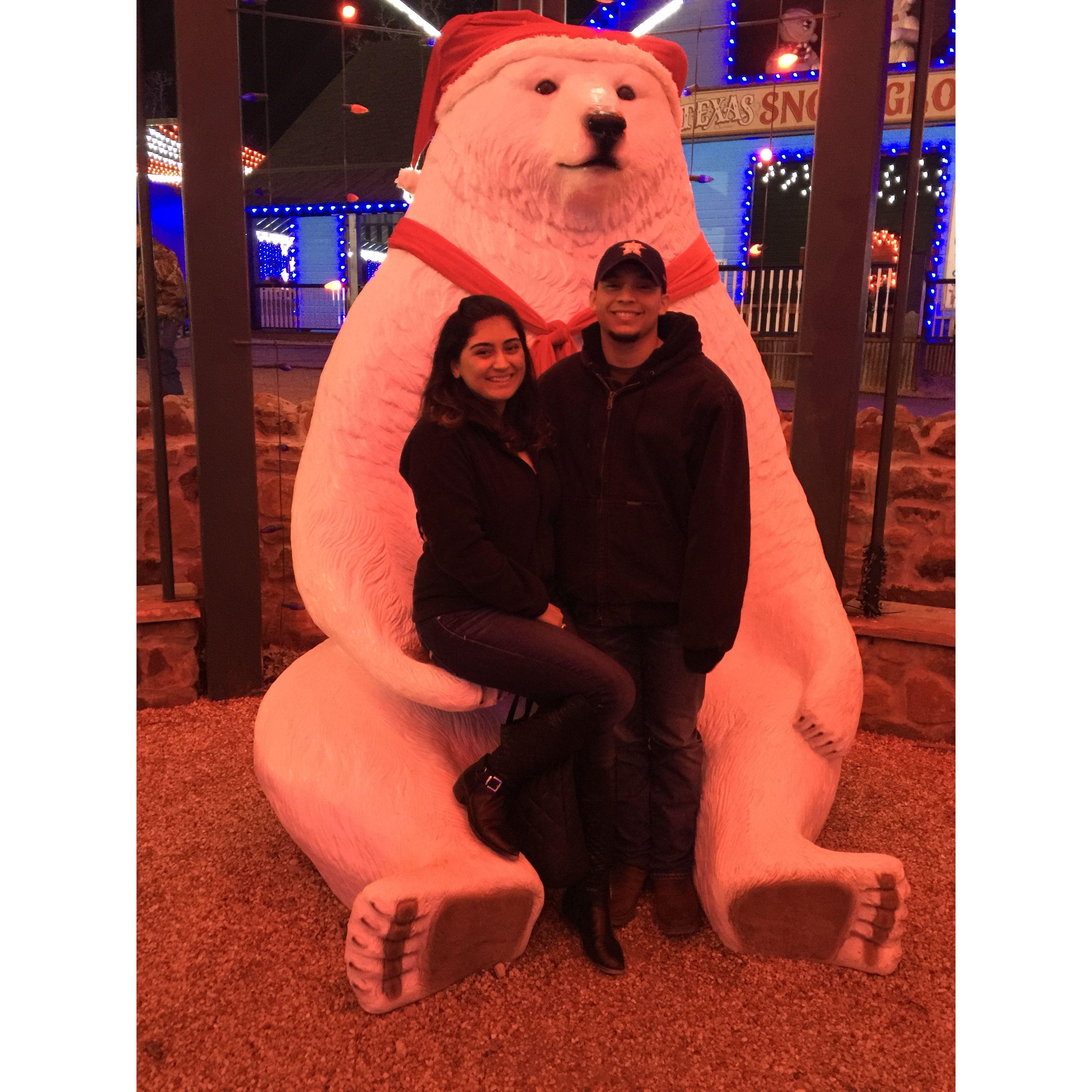 Santa's Wonderland