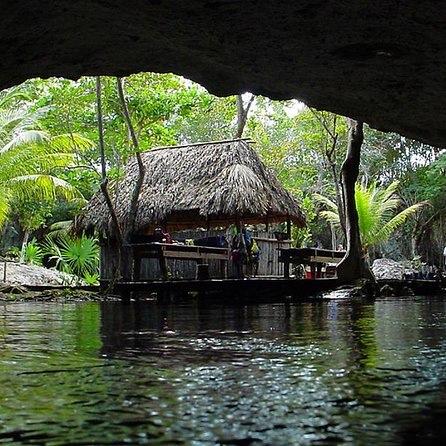 Jungle Tour/ Tour por la selva
