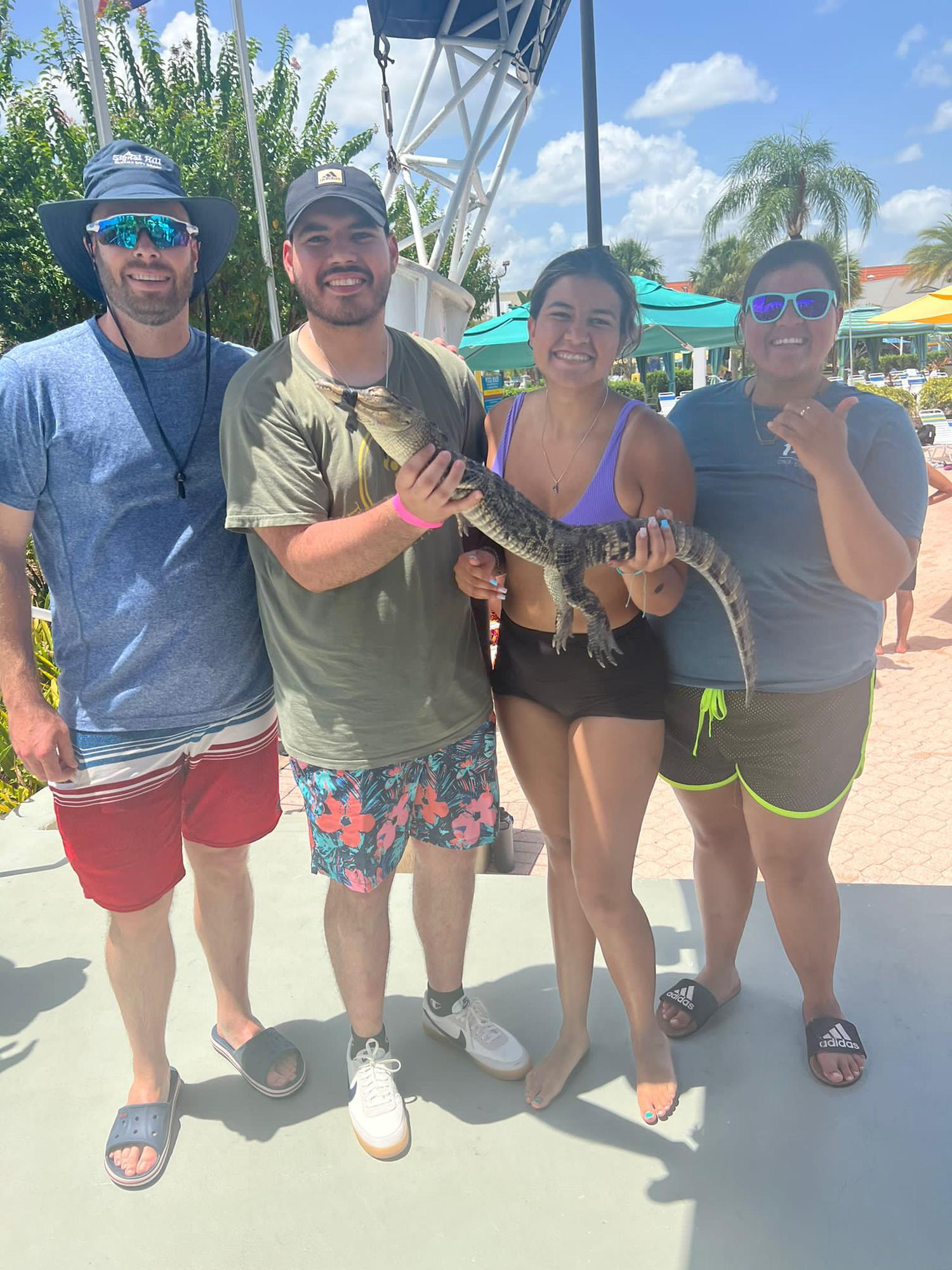 Gator life in Florida