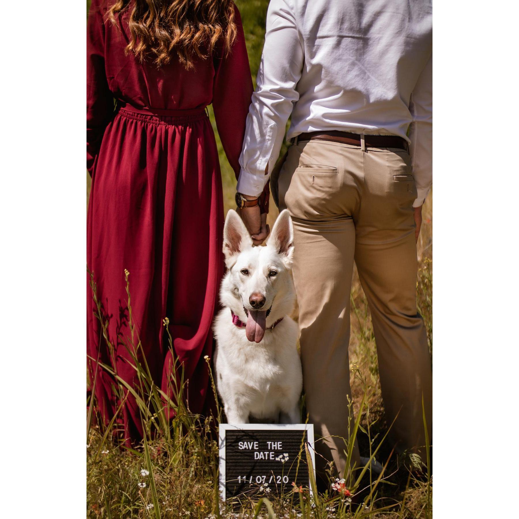 Saber says "save the date!"