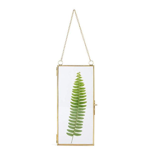 NCYP 4x9 inchs Clear Glass Picture Frame Wall Hanging Certificate Photo Plant Specimen Clip Copper Modern Home Geometric Vertical Decor Card Holder Display Gift, Glass Frame only