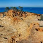 Torrey Pines State Park