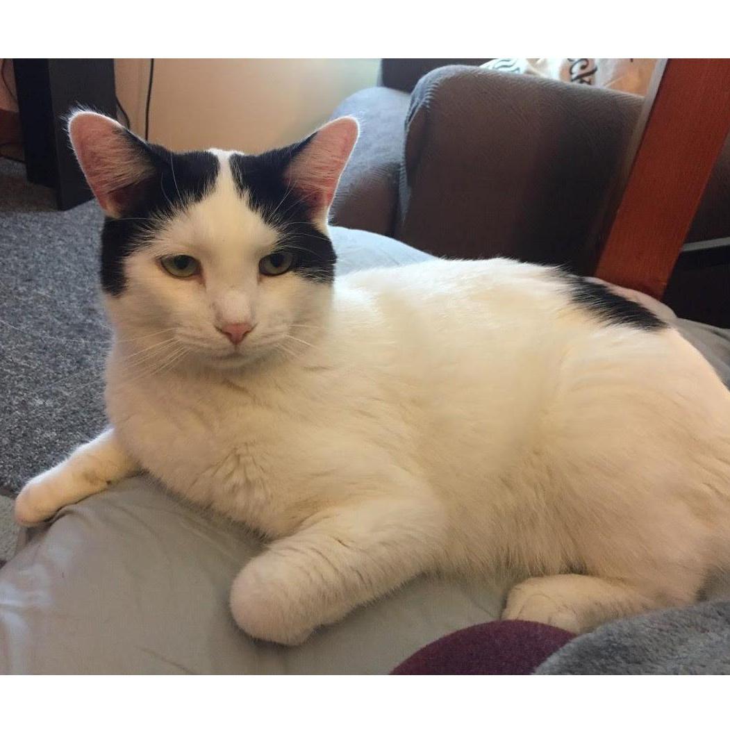 Wyatt our little love