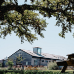 Treaty Oak Distilling