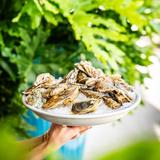 Abel Brown Southern Kitchen & Oyster Bar
