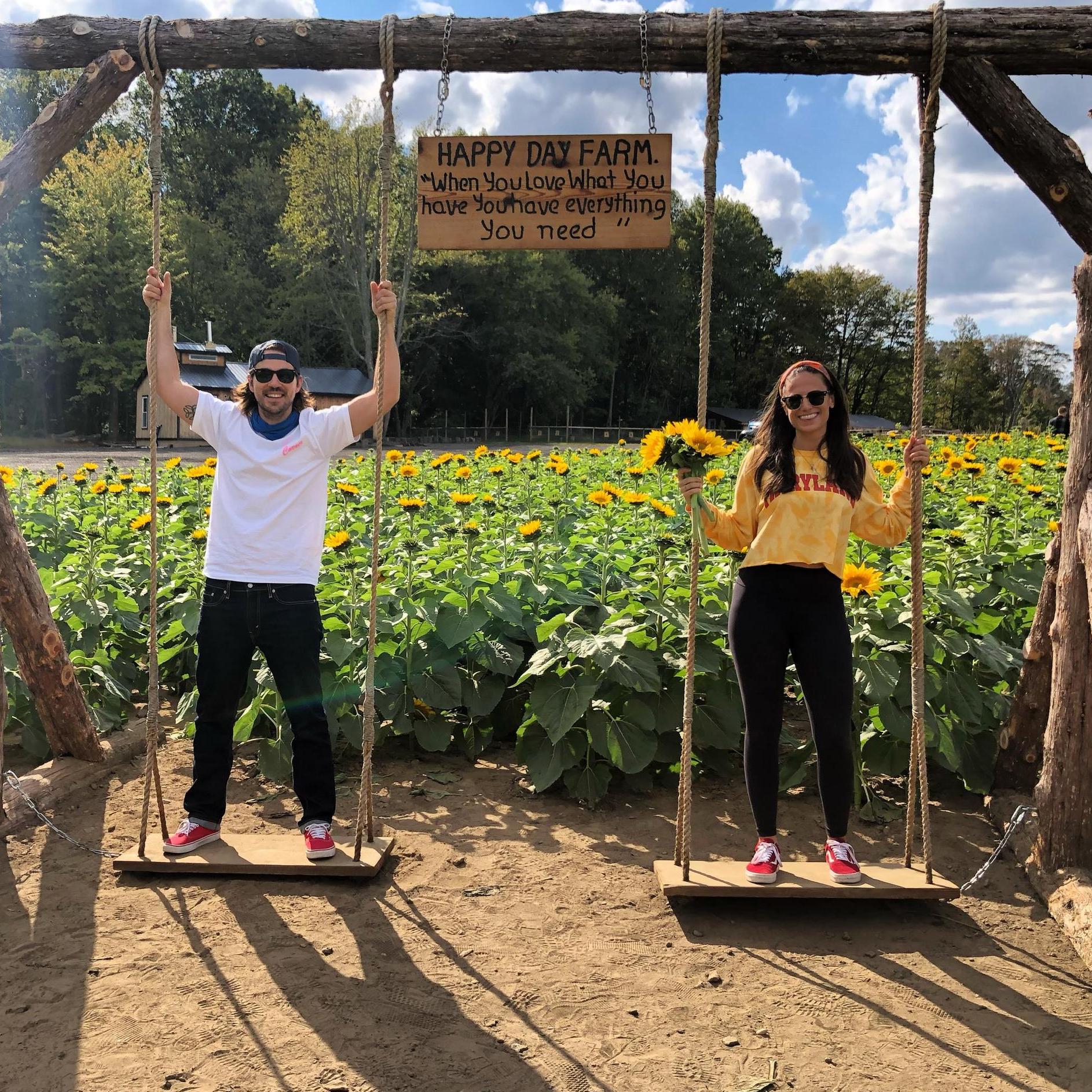 Sunflower farm fun