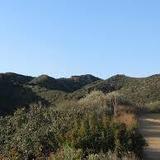 Will Rogers State Historic Park