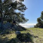 Angel Island