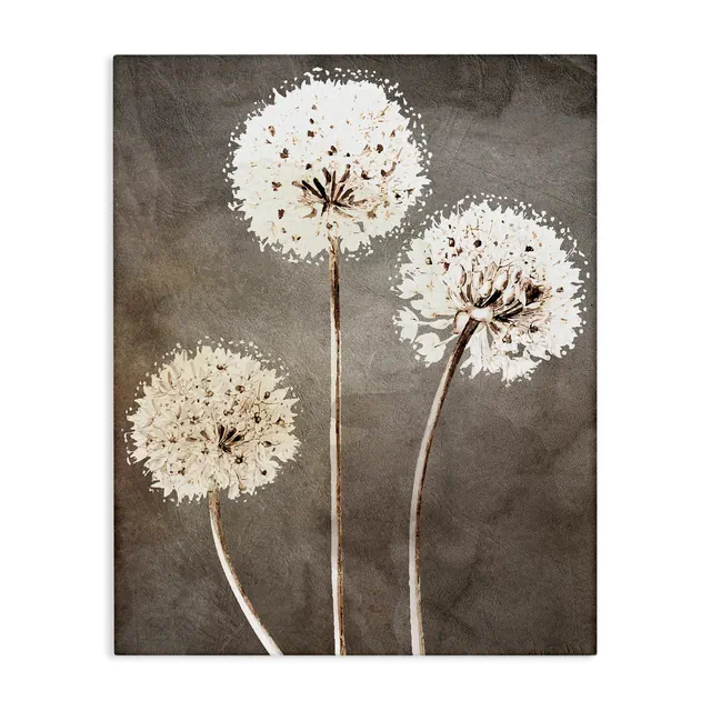 Stupell Industries Fluffy Dandelion Plants Wildflower Botanical Blooms Canvas Art, 16" x 20"