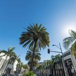 Rodeo Drive Beverly Hills