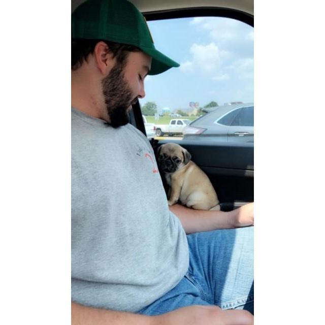 The day we picked up Pickles!