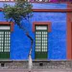 Frida Kahlo Museum