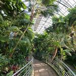 Krohn Conservatory