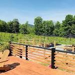 The Vineyard At Windham
