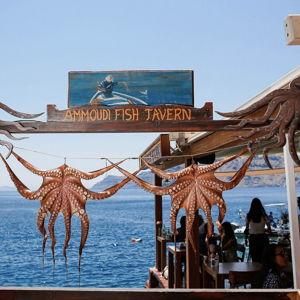 Honeymoon Ammoudi Bay Seafood Lunch (Under Oia Cliffs)