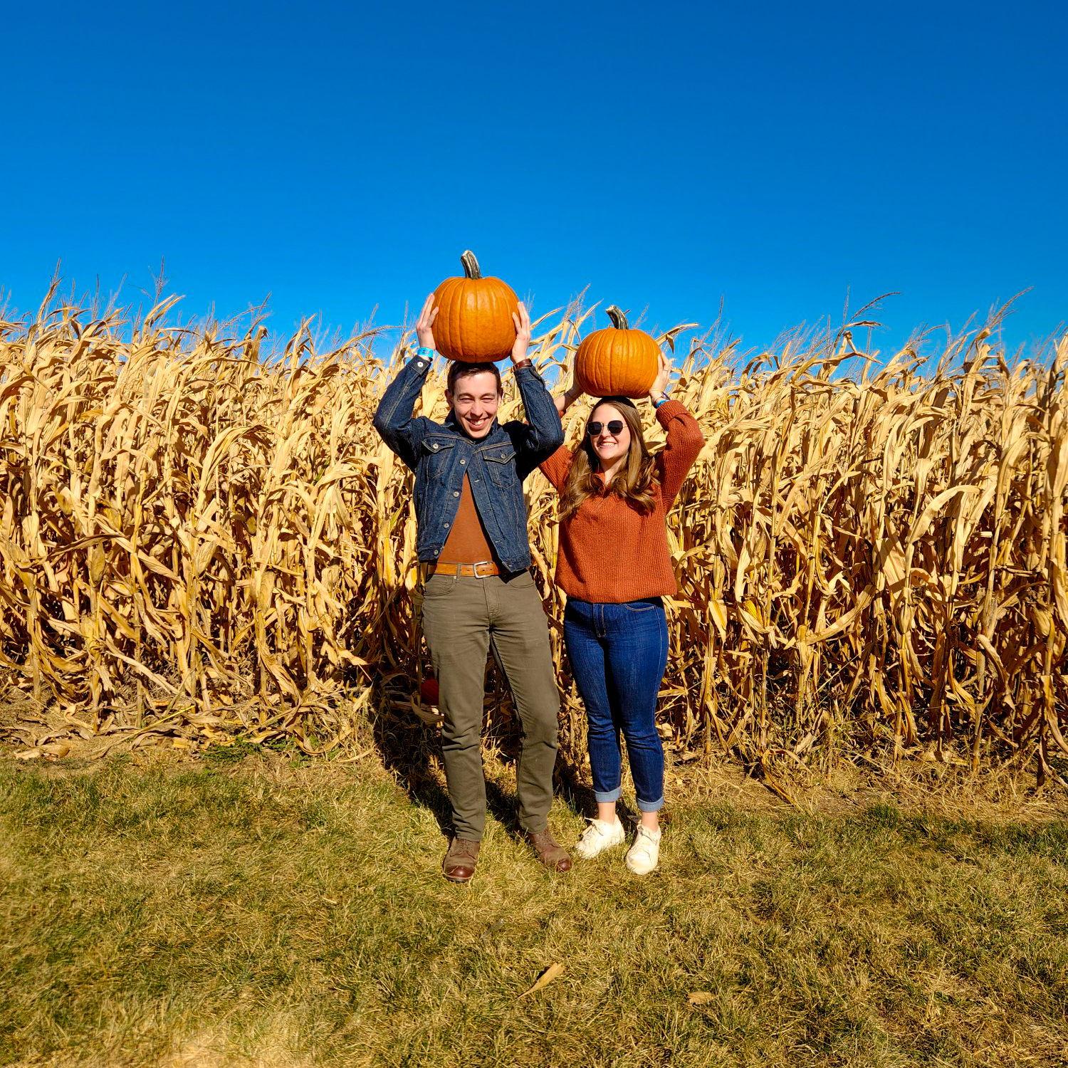 Pumpkin Picking 2024