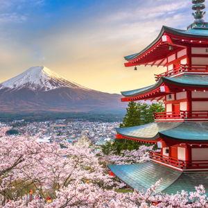 Honeymoon in Japan
