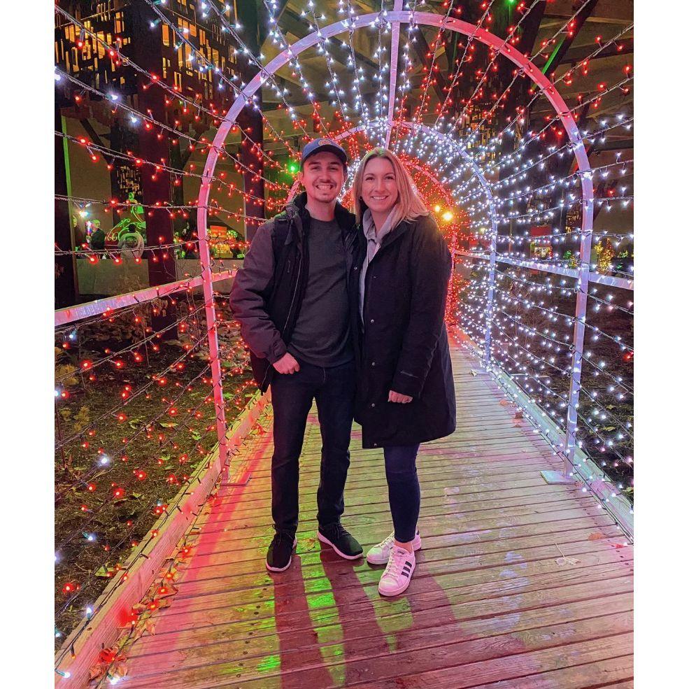 Christmas at Indy Zoo