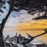 17 Mile Drive