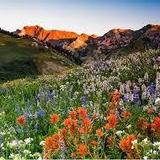 Albion Basin