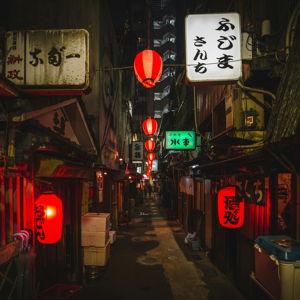 Dinner for Two in Tokyo