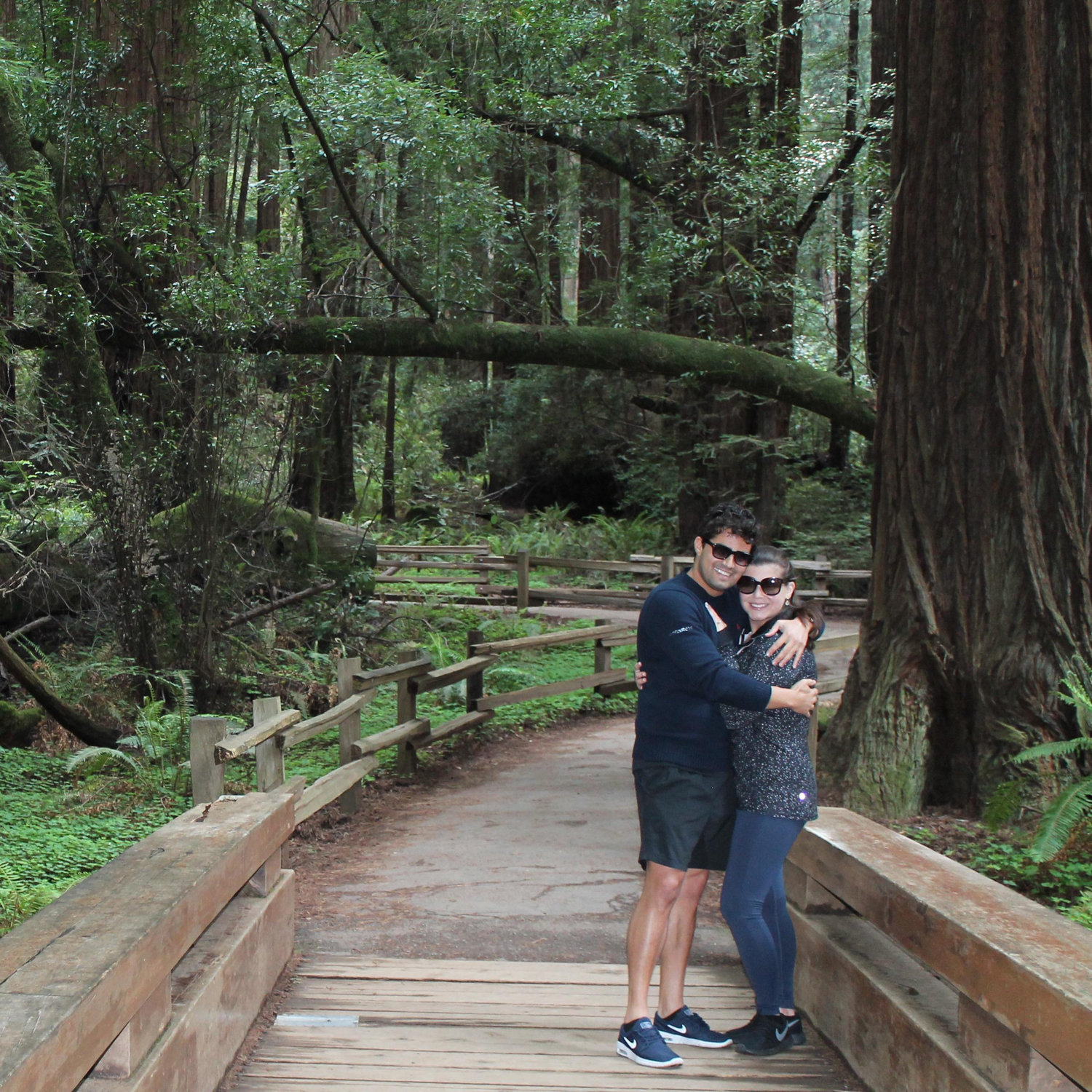 Muir Woods